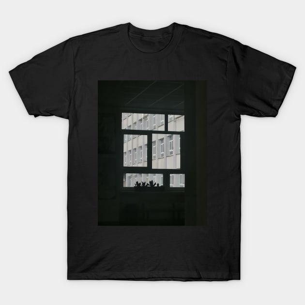 Windows T-Shirt by Species